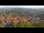 Webcam in Blankenburg (Harz), 12.6 km
