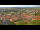 Webcam in Blankenburg (Harz), 4.9 mi away