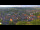 Webcam in Blankenburg (Harz), 19 mi away