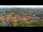 Webcam in Blankenburg (Harz), 12.6 km