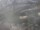 Webcam in Dinkelsbühl, 16.4 km entfernt