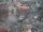 Webcam in Dinkelsbühl, 31.8 km entfernt
