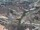Webcam in Dinkelsbühl, 11.9 mi away