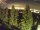 Webcam in Bielmonte, 7 mi away