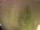 Webcam in Bielmonte, 7 mi away