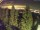 Webcam in Bielmonte, 22.2 mi away