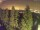 Webcam in Bielmonte, 13.3 km