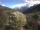 Webcam in Ortisei, 3 mi away