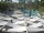 Webcam in Punta Cana, 92.2 mi away