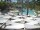 Webcam in Punta Cana, 85.1 mi away