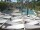 Webcam in Punta Cana, 240 km