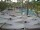 Webcam in Punta Cana, 240 km