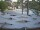 Webcam in Punta Cana, 239.4 km