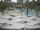 Webcam in Punta Cana, 63.6 km