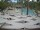 Webcam in Punta Cana, 21.2 km entfernt