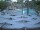 Webcam in Punta Cana, 239 km