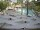 Webcam in Punta Cana, 239.4 km