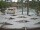 Webcam in Punta Cana, 56.4 km