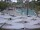 Webcam in Punta Cana, 0.1 mi away