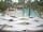 Webcam in Punta Cana, 244.5 km