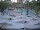 Webcam in Punta Cana, 21.2 km
