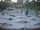 Webcam in Punta Cana, 7.7 km