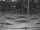 Webcam in Punta Cana, 7.7 km