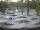 Webcam in Punta Cana, 7.7 km
