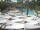 Webcam in Punta Cana, 7.7 km