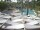 Webcam in Punta Cana, 0.2 km