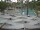 Webcam in Punta Cana, 1.4 km entfernt
