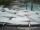 Webcam in Punta Cana, 0.2 km entfernt
