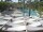 Webcam in Punta Cana, 240.3 km
