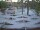 Webcam in Punta Cana, 60 mi away
