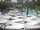 Webcam in Punta Cana, 138.5 km entfernt