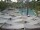 Webcam in Punta Cana, 0.2 km entfernt
