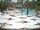 Webcam in Punta Cana, 8 km