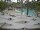 Webcam in Punta Cana, 56.4 km