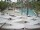 Webcam in Punta Cana, 56.5 km