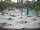 Webcam in Punta Cana, 136.4 km