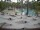 Webcam in Punta Cana, 138.5 km