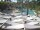 Webcam in Punta Cana, 228.1 km