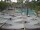 Webcam in Punta Cana, 240.3 km