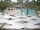 Webcam in Punta Cana, 3 mi away