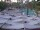 Webcam in Punta Cana, 260.7 km