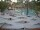 Webcam in Punta Cana, 339.1 km