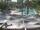 Webcam in Punta Cana, 92.6 mi away