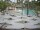 Webcam in Punta Cana, 239 km entfernt