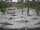 Webcam in Punta Cana, 3 mi away