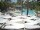 Webcam in Punta Cana, 136.4 km